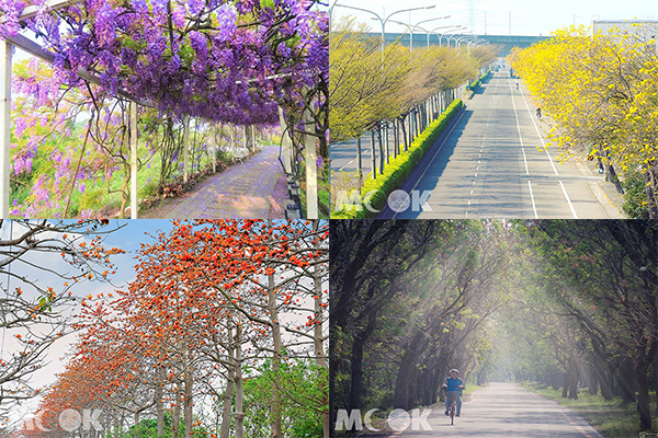 大树交织奇幻美景全台十大花海隧道