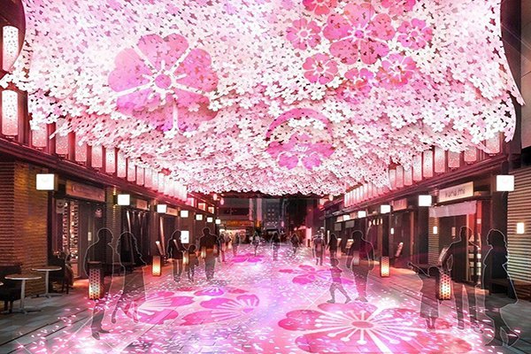 都市夜樱走廊好梦幻灯光投影打卡必拍