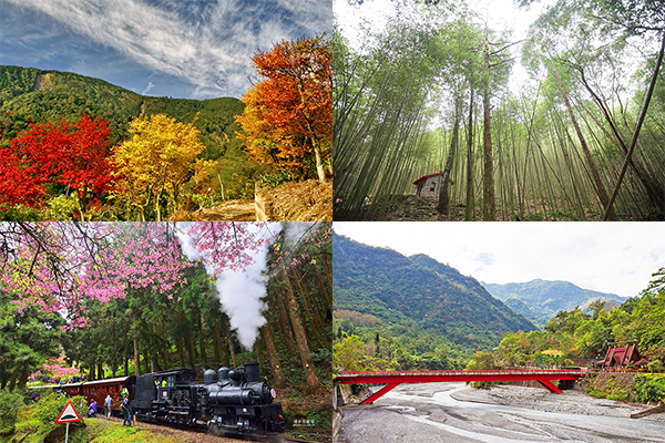 山水秘境美景都在这！全台七大森林游乐区