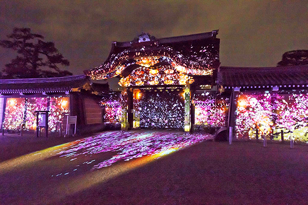 世界遗产变身光雕绝景二条城樱花祭世界最惊艳