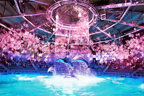 日本最大樱花雨！品川水族馆激光光雕秀