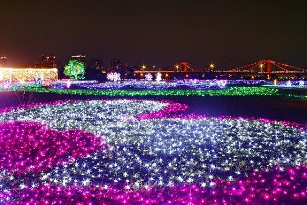 9万支风车巨型光雕蝴蝶梦幻夜景新地标