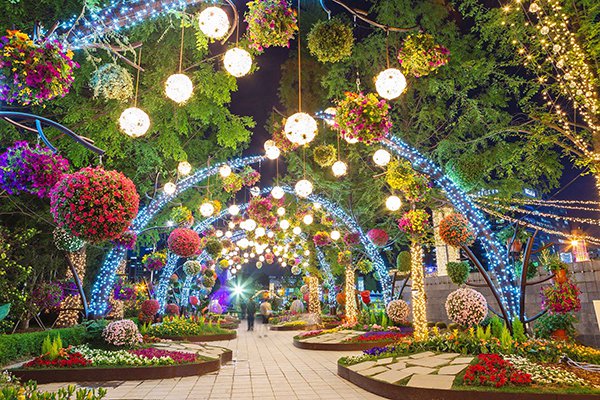 LED花海灯光庭园好梦幻！韩国最大国际花卉博览会