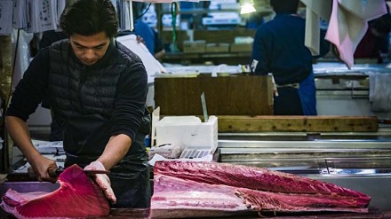 日本筑地市场即将搬迁，摄影师FedericoBonifazi用影像纪录这个特色地标