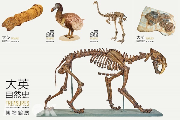 227件珍品首度登台大英自然史博物馆展