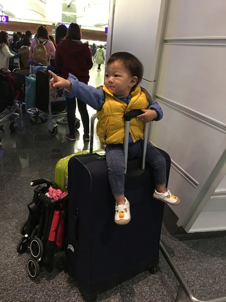 不要再说带婴儿出国很麻烦了!2岁前机票免费说什么都要飞