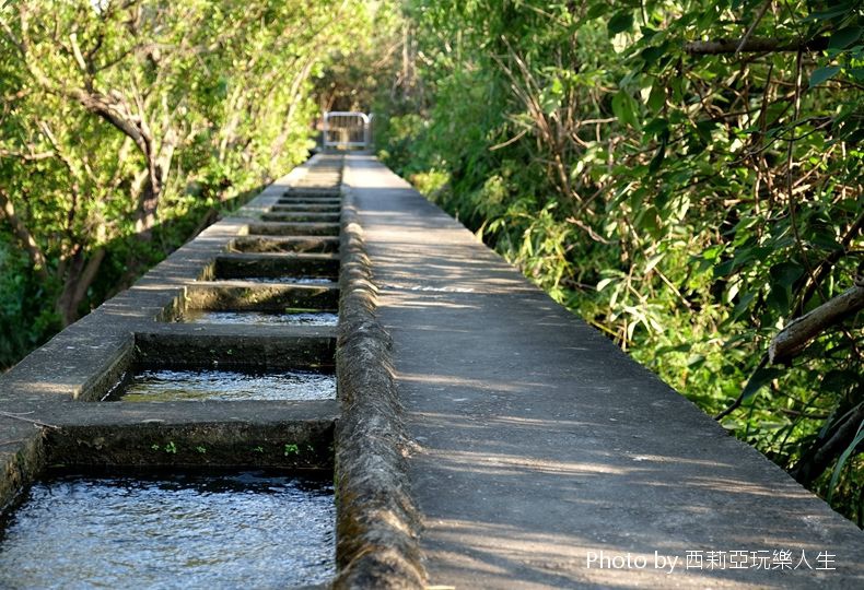 【亲子旅游】轻松健走不花体力：知高圳步道