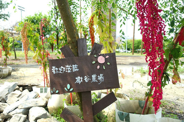 【亲子旅游】放电一整天！台南树谷农场