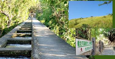 【台中步道】亲子健走不花体力：知高圳步道