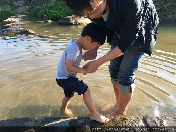 【亲子旅游】近郊能戏水！内湖大沟溪生态园区