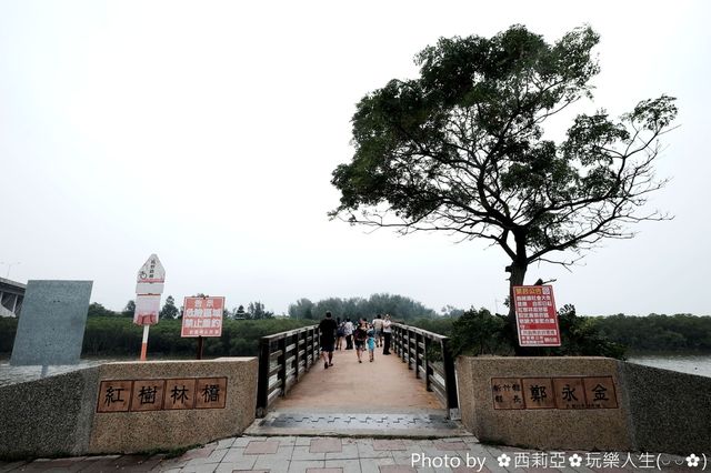 【亲子旅游】壮观的大自然教室:红毛港红树林生态游憩区