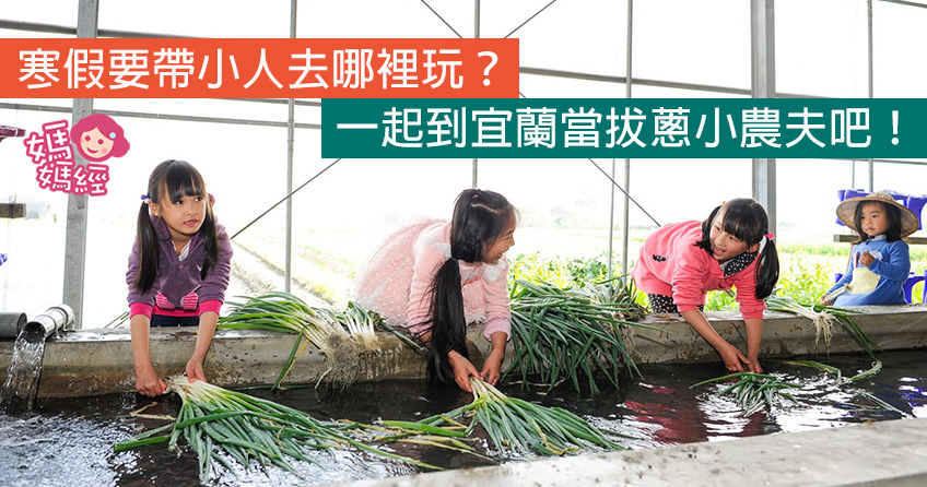 寒假去宜兰拔葱做葱油饼!亲子下田当小农夫