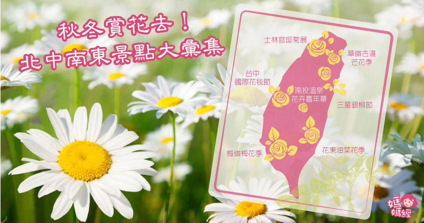 秋冬赏花去！北中南东景点大汇集