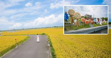 【宜兰景点】疗愈稻穗黄金浪：三奇伯朗大道
