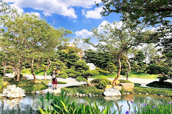 秒飞京都庭园名所！绝美日式景点免费参观