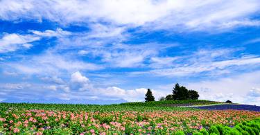 北海道露营车之旅：租借、场地、注意事项懒人包