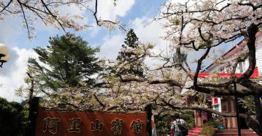 不藏私名单大公开！嘉义阿里山住宿推荐