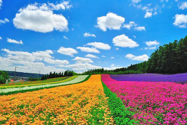 超广角大景一次收集！北海道七大绝美景点