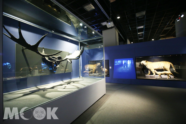 227件展品首度来台大英自然史博物馆展