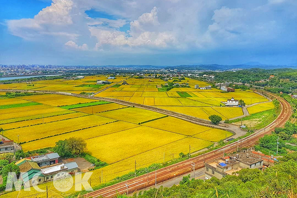 金黄大地拼图新秘境！苗栗高空赏景步道