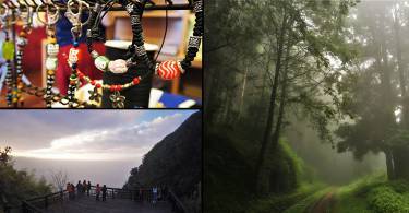 台湾阿里山景点推荐 旅游攻略 最理想的避暑胜地阿里山地址