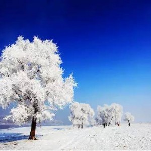 冬季去长白山旅游都要注意什么？