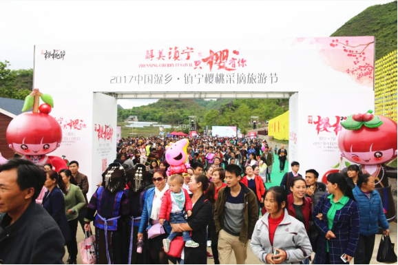 2017镇宁樱桃采摘旅游节火热进行 活动为媒引游客争相前往