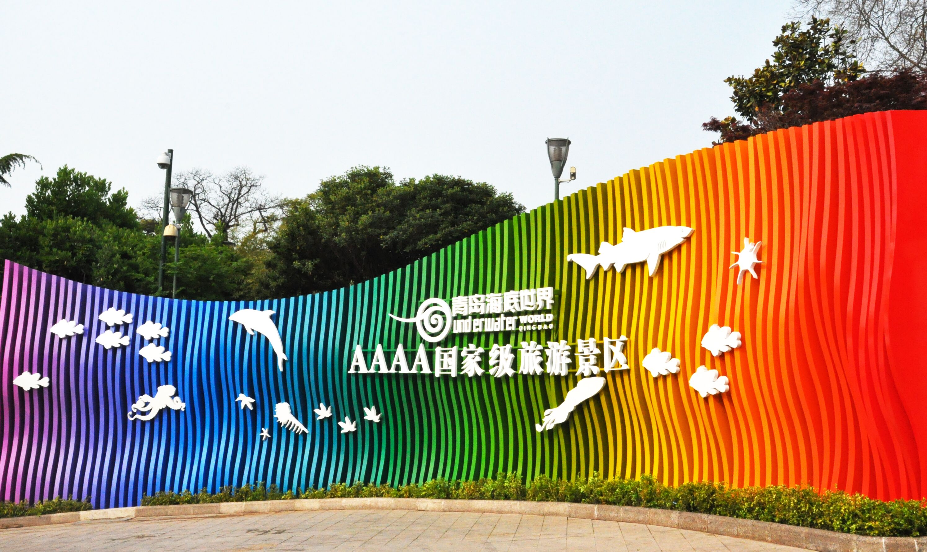 你来或不来，我就在海边，静静的等了你85年！