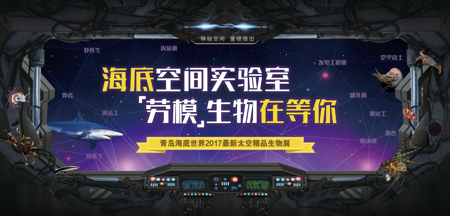 武隆再次发现新洞穴 可与芙蓉洞媲美
