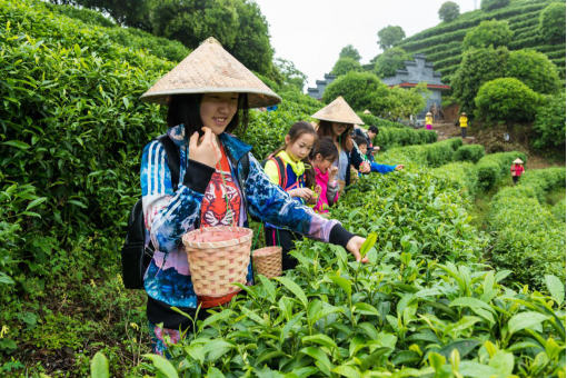营地教育|为中国孩子教育的明天打开另一扇窗