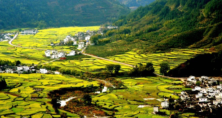 达人推荐：婺源赏花，小众路线PK经典玩法（附路线地...