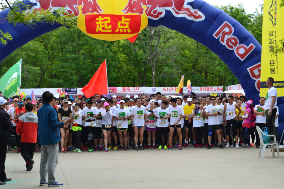 露营、混搭、跨界 2016孤岛万亩槐林露营大会还能这么玩