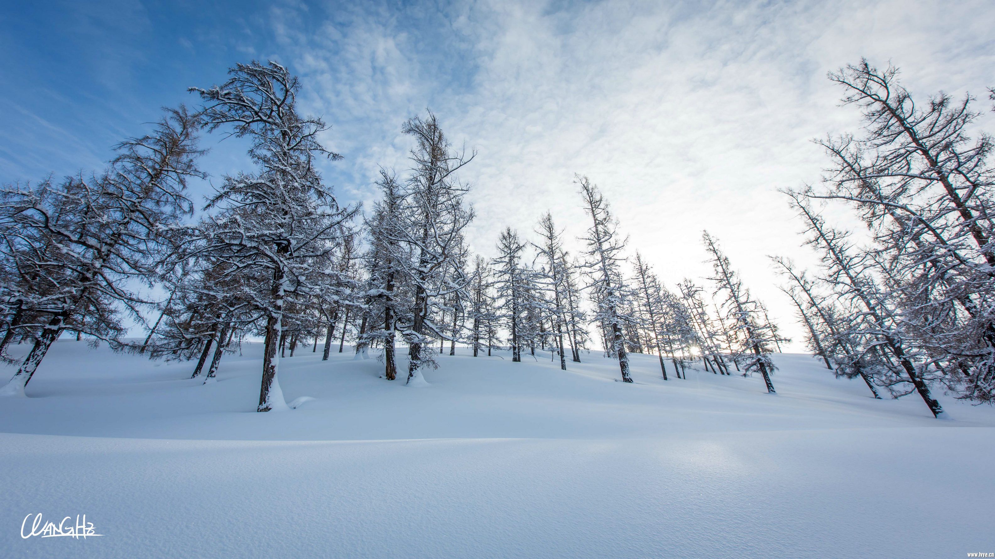 冷酷仙境喀纳斯 探寻中国雪景最后的处女地