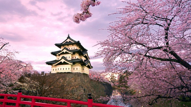 错峰出境游，3月去这几个地方就对了