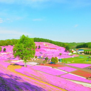 北海道：一生至少要去四次的地方