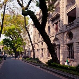 痛仰、逃跑计划、反光镜联袂跨年，深圳迷笛最新时间表公布 ...