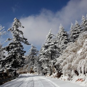 冬游神农架，不一样的冰雪体验