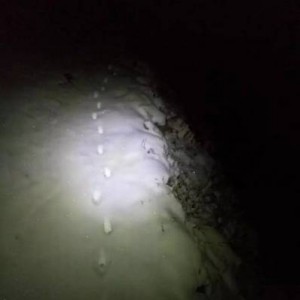 云狐真实的记录---攀登雪宝顶的8天8夜