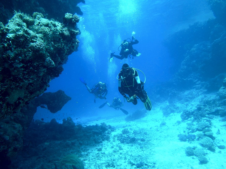 diving-813028_960_720.jpg