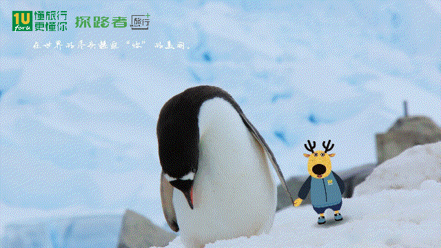 张家口冬奥举办地：房价已过万 荒山建滑雪场