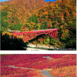 日本美景诱惑 “绝景Japan”带来日本旅游新选择