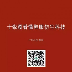 科技 | 十张图看懂鞋服仿生科技