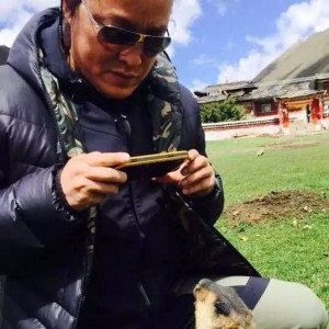 《七十七天》旱獭
