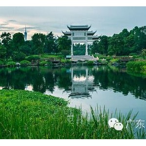 广东最美湿地由你定！