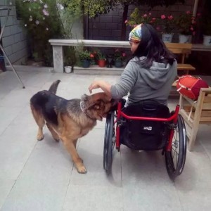《七十七天》拉萨蓝天客栈