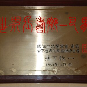 海航酒店集团实施“人才培养”重要竞争策略