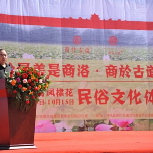 丹凤人过节 老百姓点赞 商于古道棣花民俗文化体验节开幕