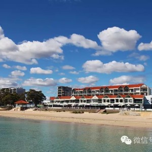 西澳独家手记(4)：与海豚同游