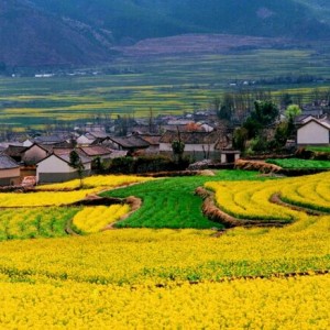 发展旅游方向：盈佳国际红利优惠惊喜多元化