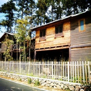 途家网：没带孩子住过树屋 怎么算是最好的亲子游